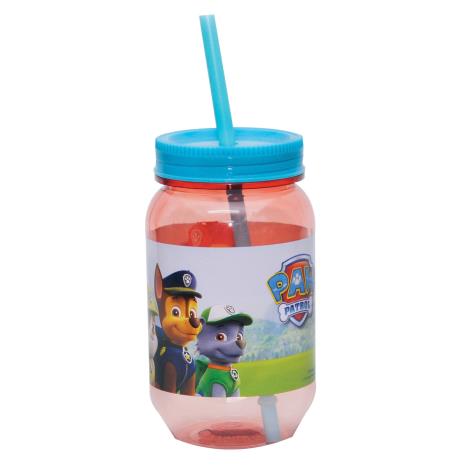 Paw Patrol 550ml Mason Jar Tumbler Cup with Straw £1.99
